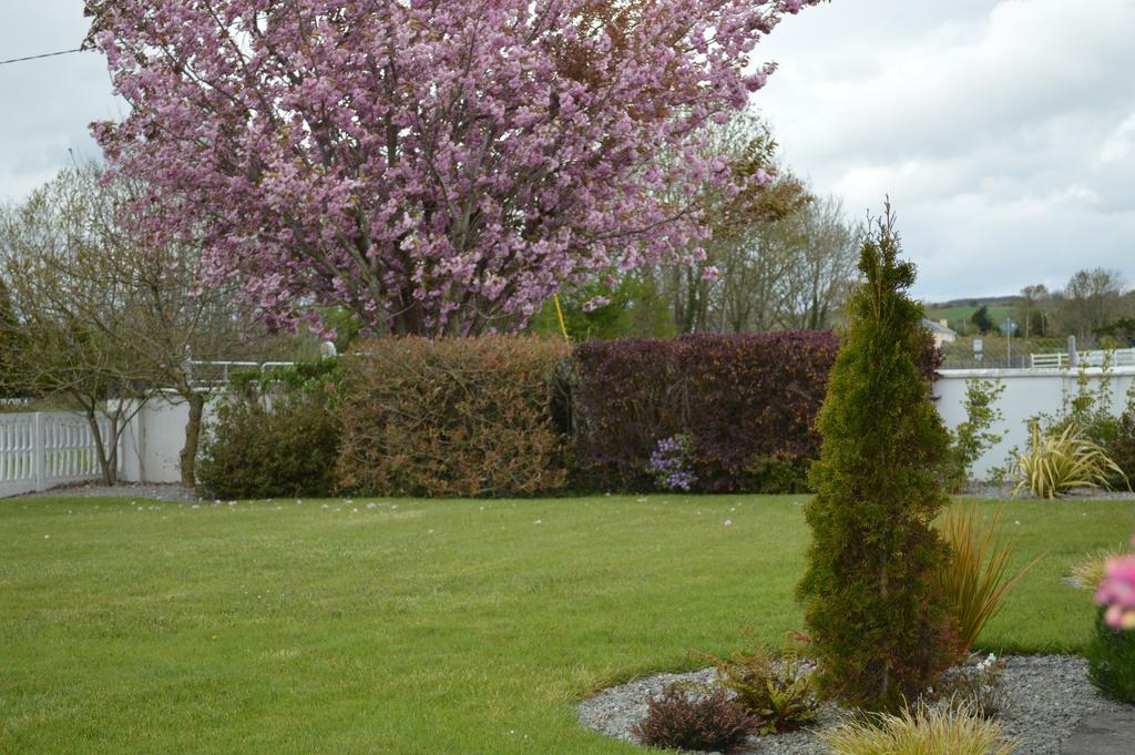 Caseys Homedale Cill Airne Exteriör bild